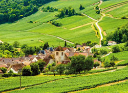 Free online language library